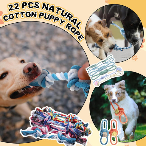 Syhood 60 Pcs Squeaky Dog Toys Bulk for Small Dogs, Plush Chew Toys and Spiky Balls for Teething