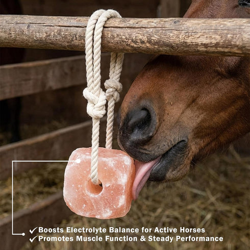 4 Pack (4.4 lb 100% (4) Himalayan Salt Lick for Horses & Livestock Each) | Natural Pink Salt on Rope | Supports