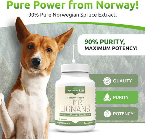 10mg Lignans For Life HMR LIGNANS Capsules - Perfect for Small Dog Breeds - Vitamin for Healthy Pet | Multivitamin |