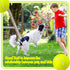 Sratte 6 Pieces Large Giant Tennis Ball for Dogs - 9.5'' Inflatable Toy Balls for Indoor Outdoor Training (Fluorescent