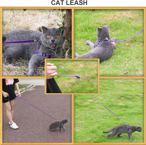 AMAGOOD 6 FT Cat Leash, Durable Traditional Style with Easy Collar Hook, Great for Cats (3/8 in x 6 ft, Black and