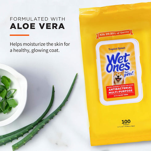Wet Ones for Pets Multi-Purpose Dog Wipes - Aloe Vera Wipes for All Dogs, Tropical Splash, Pack of 3, 300 Count Total