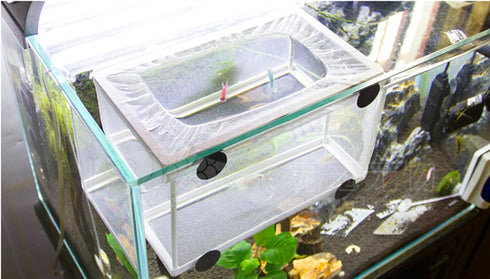 XMHF Nylon Mesh Fish Fry Hatchery Breeder Box, Separation Net