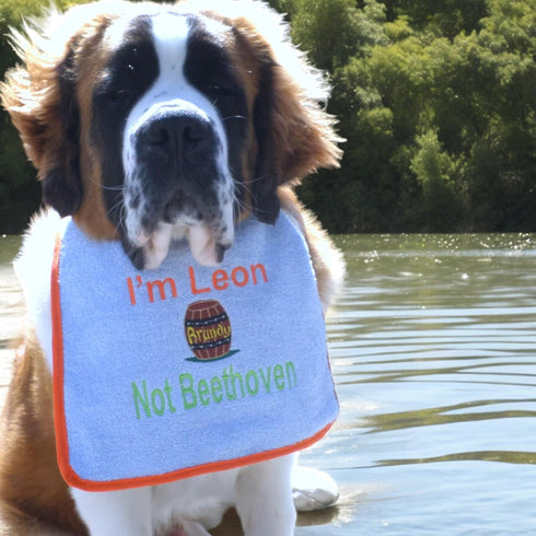 Unique Personalized Saint Bernard Bib with own Name and Brandy Barrel Embroidered Full Colour - Choose bib & Embroidery
