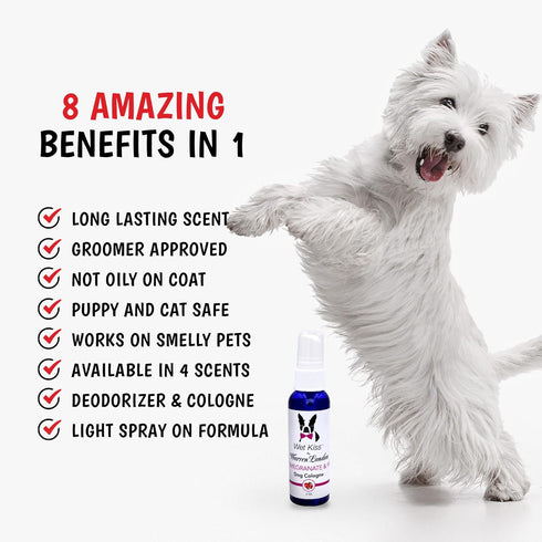 Warren London Wet Kiss Dog Cologne, 2 Ounce Bottle, Pomegranate & Fig, Long Lasting Spray