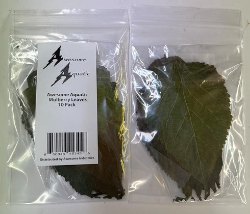 Awesome Aquatic Mulberry Shrimp Leaves, Organic Treat for Aquarium Fish & Shrimp, 10 pk