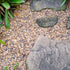 2lbs Natural River Rocks, 1/4" Aquarium Gravel, Decorative Pebbles for Plants, Fish Tank, Cactus, Indoor Water Fountains