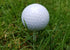 Gender Reveal Golf Ball for Baby Showers and Reveal Parties, All Natural Holi Powder, 2 Pack