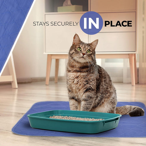 1 500 35X51-2 Pack Becks USA Made Reusable Pet Pee Pads for Dog & Cat Pee Problems, Advanced Leak Free Design, Color