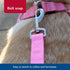 Coastal Pet Double-Ply Dog Leash - Pink Bright, 1" x 6' with Bolt Snap Attachment