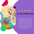 I and love and you XOXOs Wet Cat Food, Chicken + Tuna Stew Variety Pack, Grain Free, 3oz Pack of 12 Cans
