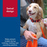 Water & Woods Nylon Dog Check Cord by Coastal Pet, Durable Training Leash, Safety Orange, 5/8" x 25'