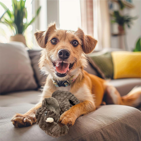 Spunky pup Tough Plush Toy Elephant