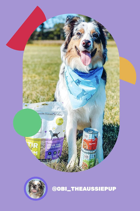I and love and you Wet Dog Food - Baad Mooon On The Rise Variety Pack - Beef + Lamb, Grain Free, 6pk