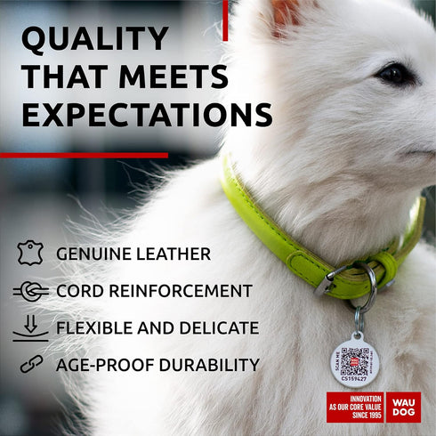 WAUDOG Ultra Soft Rolled Leather Dog Collar - Padded Collars for Small, Medium, Large Dogs - Male and Female