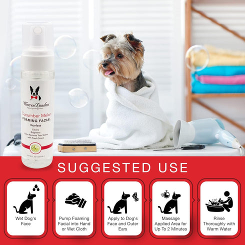 Warren London Foaming Pet Facial - Tear Free Dog Face Wash, Refreshing Cucumber Melon Wash, 1 Gallon