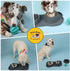 Slow Feeder Dog Bowls, No-Spill Non-Skid Silicone Mat, Stainless Steel Water Bowl for Dogs, Canine Karma