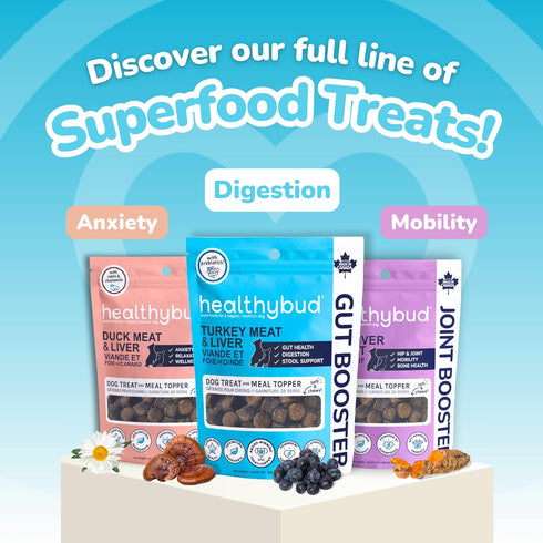 healthybud Mini Dog Training Treats - Beef Liver Soft Trainer Bites, 500+ Bits, 6.5oz, Puppy Chews