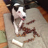 Pawstruck All-Natural 6" Bully Stick Springs for Dogs, 3 Pack - Rawhide-Free, 100% Beef Chew Bones