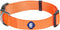 Blueberry Pet Essentials Small Dog Collar, Florence Orange Nylon Quick Release Collar for Girls