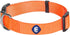 Blueberry Pet Essentials Small Dog Collar, Florence Orange Nylon Quick Release Collar for Girls