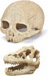 Desert Reptile Decor Skull Fish Tank Decorations, Bearded Dragon Accessories, Desert Reptile Decor, Bearded Dragon