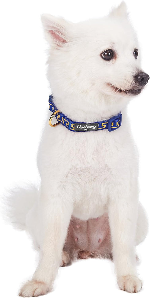 Blueberry Pet 4 Patterns Gold Metallic Thread T-Shape Adjustable Dog Collar, Large, Neck 18"-26" in Royal Blue