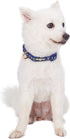 Blueberry Pet 4 Patterns Gold Metallic Thread T-Shape Adjustable Dog Collar, Large, Neck 18"-26" in Royal Blue
