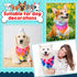 Huhumy 50 Summer Pcs Tie Dye Dog Bandanas Bulk Pet Bibs Colorful Triangle Scarf Tie Dye with Sayings Pet Bandanas