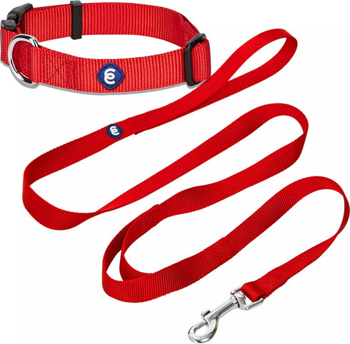 Blueberry Pet Essentials Matching Dog Collar and Double Handle Leash Set in Rouge Red, Adjustable Nylon Collar with 5