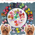 Chenkou Craft 50pcs/25pairs Puppy Yorkie Dog Hair Bows, Rubber Band Pet Grooming Products, Mix Colors & Patterns