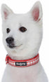 Blueberry Pet Reflective Jacquard Dog Collar - Soft & Adjustable Safety Collar - Coral, Neck 17-20.5"