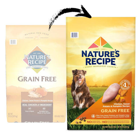 Nature’s Recipe Grain Free Chicken, Sweet Potato & Pumpkin Recipe Dry Dog Food, 24 lb Bag