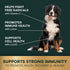 Immunity Immune Immune 120 Count VetriScience Health Easy-Open Capsules, Plus Supplement for Medium and Large Breed