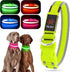 YFbrite Light up Dog Collar, USB Rechargeable LED Puppy Collar for Night Walking (Green, Large)