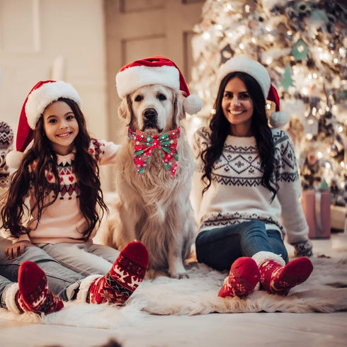 ADOGGYGO Christmas Dog Collar with Bow, Adjustable Cotton Red Bowtie for Small Medium Large Dogs (Medium, Xmas)