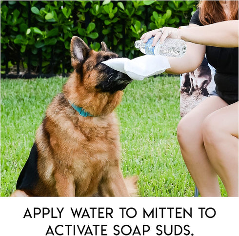 No Rinse Pet Wipes - Rinse Free Shampoo Mittens for Dogs and Cats, Hypoallergenic Wash Mitt for Grooming, 5 Pack