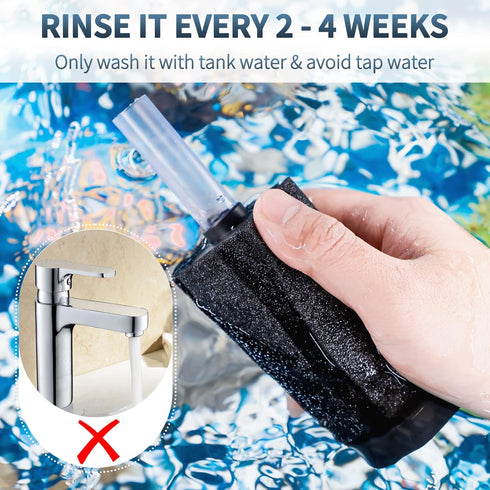 Pawfly Small Fish Foam Filter with Airline Tubing, Suction Cups, Check Valve, and Control Valve for 20 Gallon Tanks