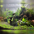 Tfwadmx Aquarium Buddha Statue Decoration, Resin Furniture Ornament for Underwater Landscape