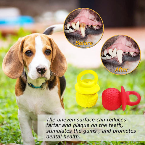 Novelty Squeaky Pacifier Dog Toys - Latex Chew Toys for Teething Puppies, Mild Chewing for Small, Medium, Large Dogs