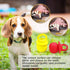 Novelty Squeaky Pacifier Dog Toys - Latex Chew Toys for Teething Puppies, Mild Chewing for Small, Medium, Large Dogs