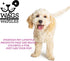 Wags & Wiggles Large Dog Nail Clippers for Medium and Large Dogs, Great for Keeping Your Dog Well Groomed