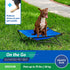 Coolaroo On The Go Cooling Elevated Dog Bed, Portable for Travel & Camping, Collapsible Storage, Medium, Aquatic Blue