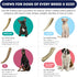 Elk Antler Dog Chew Toy - Medium 1-Pack, Grade A Naturally Shed Deer Antlers for Dogs, 6” Whole for 15-35lb Dogs
