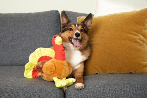 Midlee Large Thanksgiving Turkey Dog Toy - Stuffed Squeaky Pet Toy