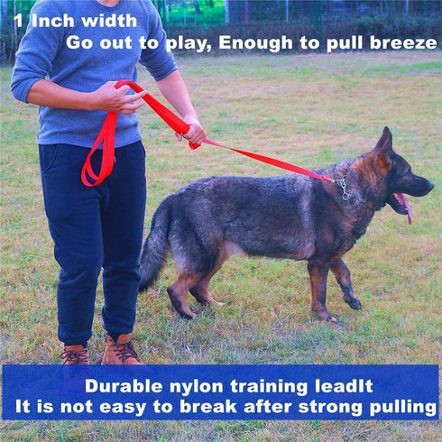 Strong Durable Nylon Dog Training Leash, 1 Inch Wide, 6 ft 10ft 15ft Long for Small Medium Dogs - Purple, 15 Feet
