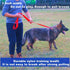 Strong Durable Nylon Dog Training Leash, 1 Inch Wide, 6 ft, 10 ft, 15 ft Long for Small and Medium Dogs (Black, 10 Feet)