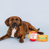 Fringe Studio Plush Dog Toy Set with Treat Pockets, Nothin’ But Noodles, 2 Piece Pet Shop Collection