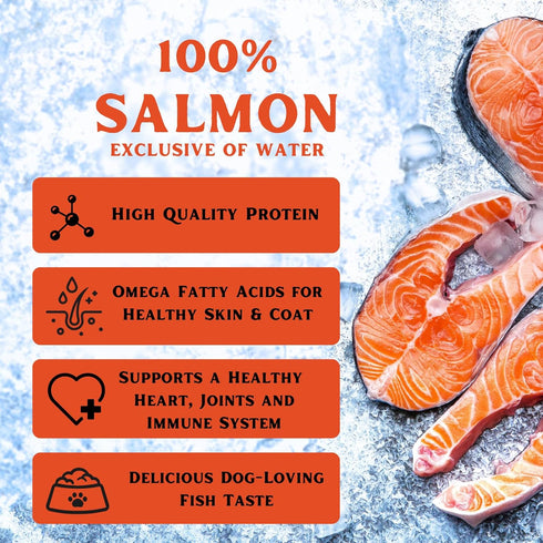 HEREFORD FARMS 100% 11oz. (12 Pack) Salmon Wet Dog Food (Exclusive of Water), All Natural Protein-Rich Mixer and Topper