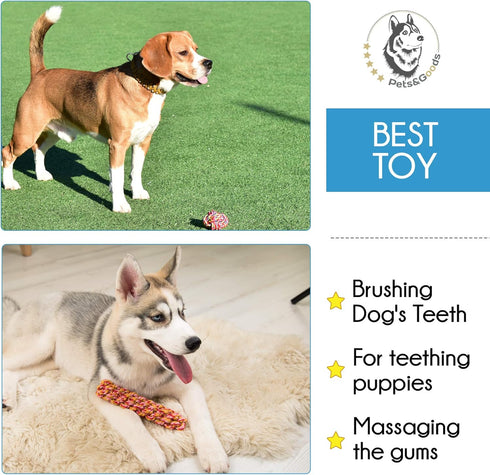 Dog Rope Toy for Active Chewers, Heavy Duty Washable 100% Cotton Chew Toys, Tug of War Toy, Pack of 9 for Small Breeds